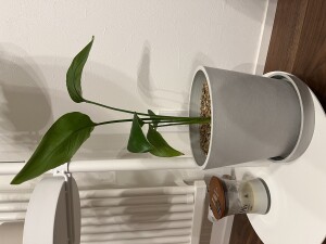 image0