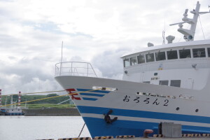 IMGP2937