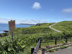 IMG_4190