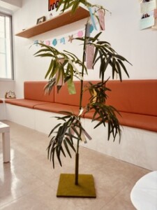 image6